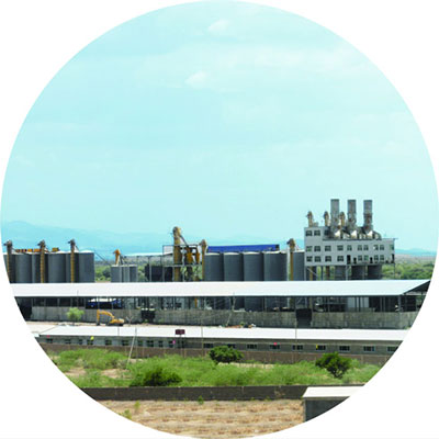 História da Empresa