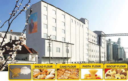 Fábrica de moagem de farinha de trigo